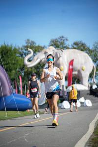 BIB: 
                            <button type="button" onclick="openModal(26543874)" class="btn btn-primary btn-sm float-right btn-popup" data-toggle="modal" data-target=".modal-high-quality">
                        <i class="fas fa-shopping-cart"></i> Add to Cart
                    </button>
                                            <button type="button" onclick="isThisMe(26543874, true)" class="btn btn-success btn-sm float-right btn-popup btn-isme hidden" data-toggle="tooltip" data-placement="bottom" title="นี่คือรูปของคุณใช่ไหม คลิกที่นี่เพื่อเอาเข้าอัลบั้ม">
                        <i class="fas fa-plus"></i> Add to album
                    </button>
                    <button type="button" onclick="isThisMe(26543874, false)" class="btn btn-warning btn-sm float-right btn-popup btn-isnotme hidden">
                        <i class="fas fa-ban"></i> Remove from album
                    </button>